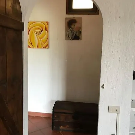 Berio Quattro - Miguel Villa Viani
