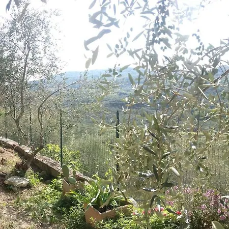 Berio Quattro - Miguel Apartment